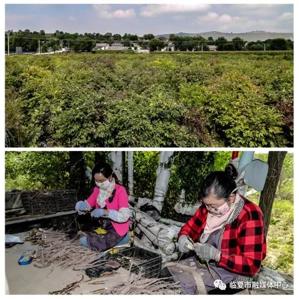 山水临夏美丽临夏,临夏青山绿水蓝天