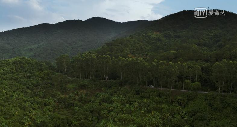 那些让人笑死的神剧,那些看了就想气死人的剧