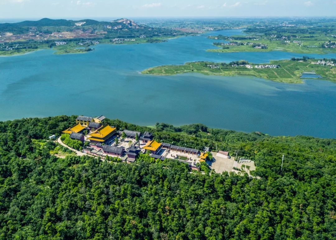 去了那么多次你真的了解南京吗,去了很多地方就会有阅历吗