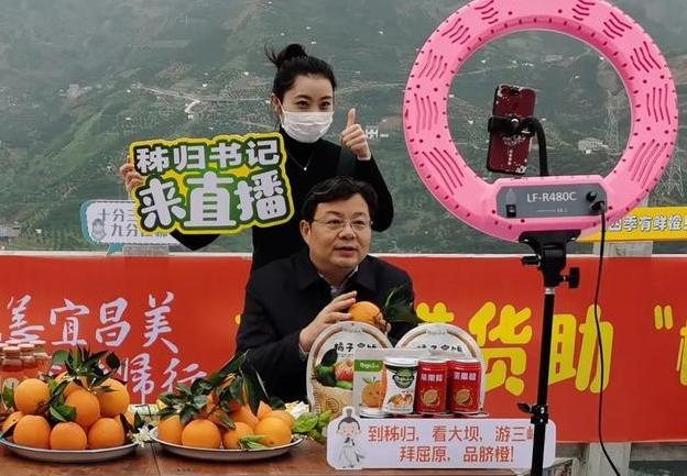 秭归脐橙价格为何持续走低,疫情原因果子滞销