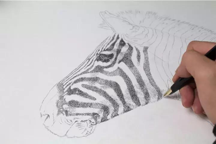 小央美钢笔画视频,极品五大钢笔画简直美爆