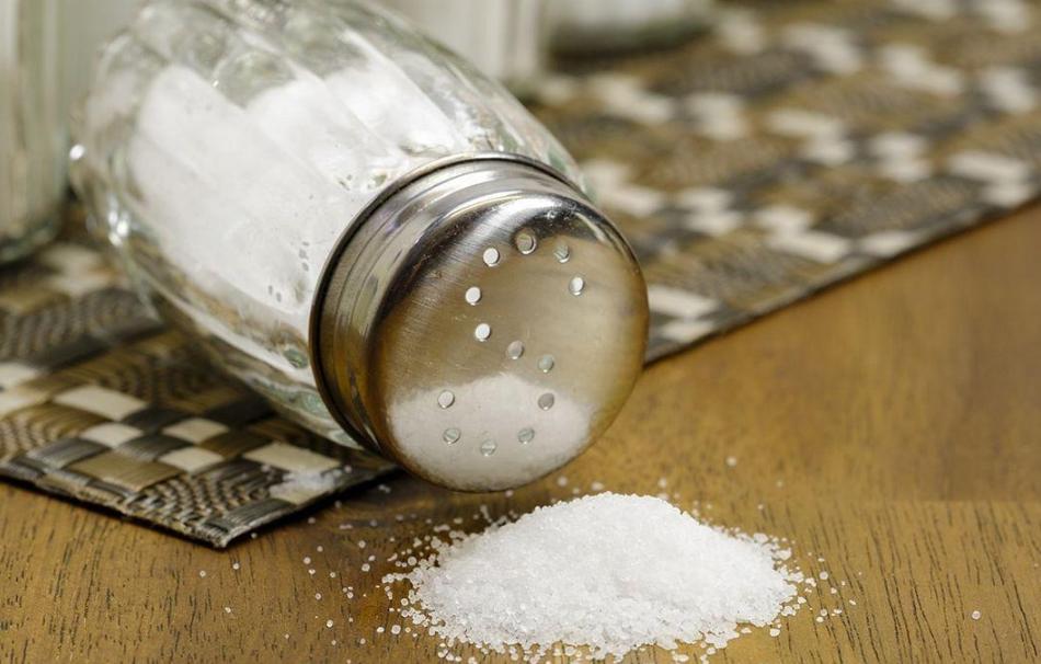 为什么动物都不用吃盐人不吃盐,野生动物没吃盐怎么回事