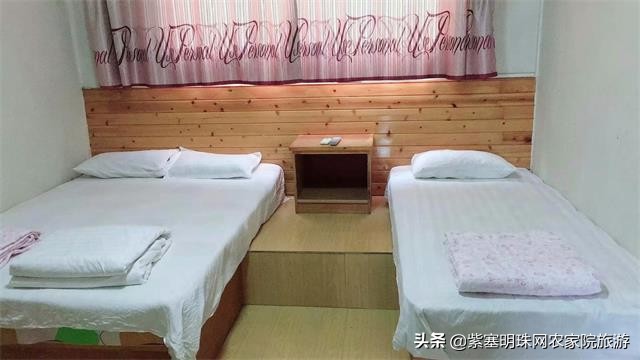 日照直播,日照索隆