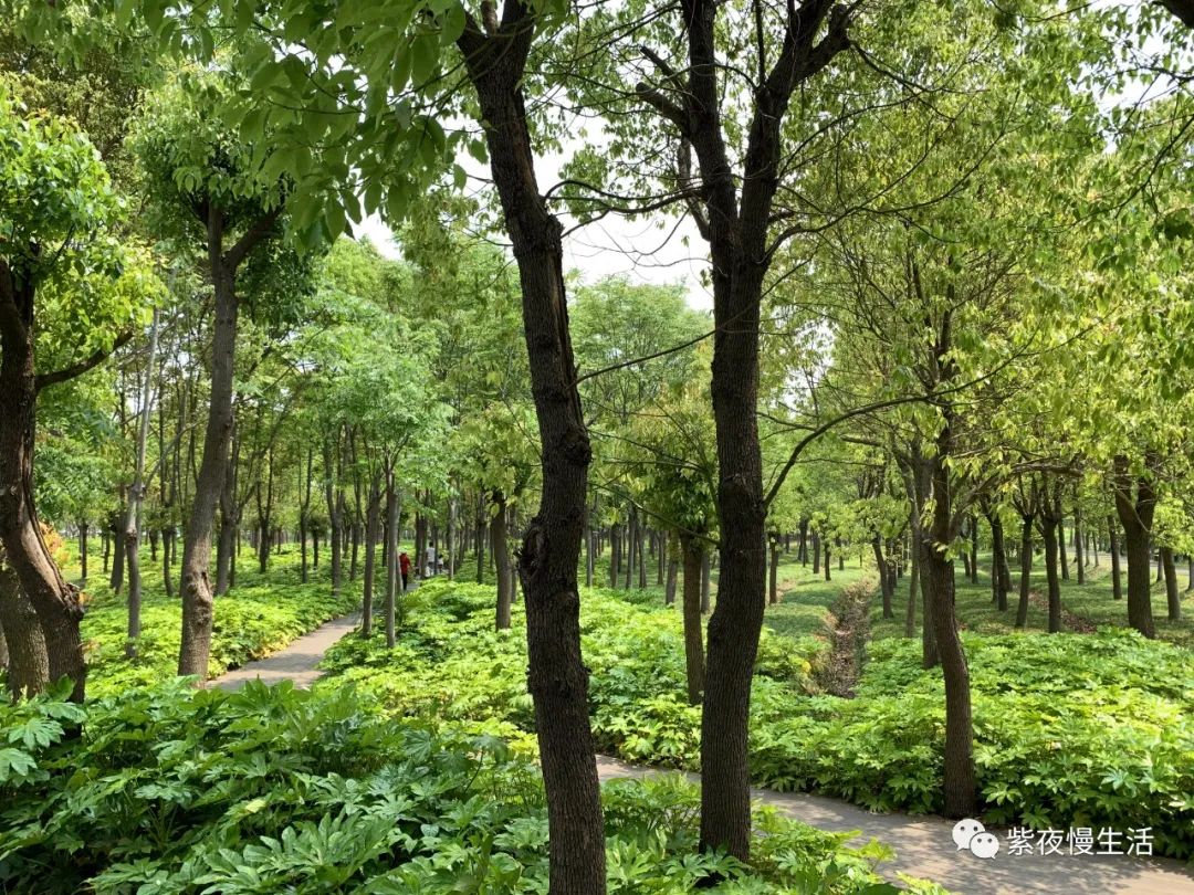 慢生活惬意悠闲,悠闲惬意上海