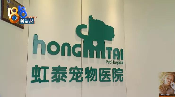 四胞胎都没有胎心胎芽正常吗,四胎无创都没问题五胎会有问题吗