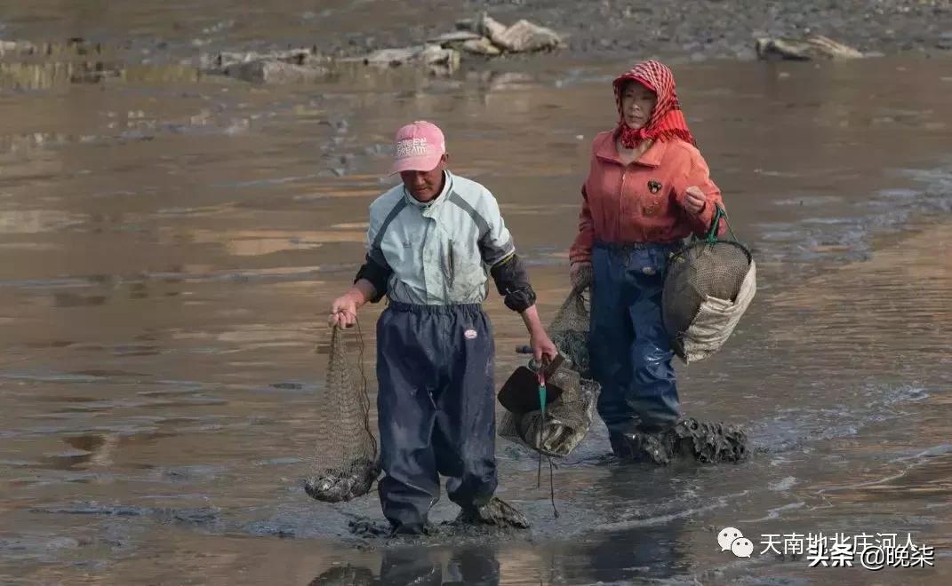 大连庄河赶海排名第一名,庄河赶海网红视频