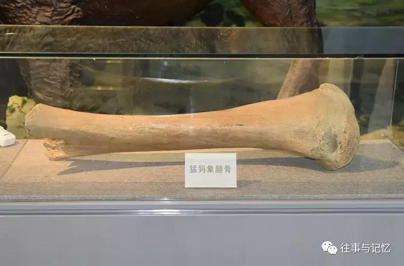 通辽霍林郭勒市区,通辽霍林郭勒一日游