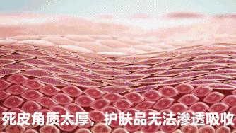 秋天身上干燥起皮屑,秋天皮肤干燥还需要做清洁吗