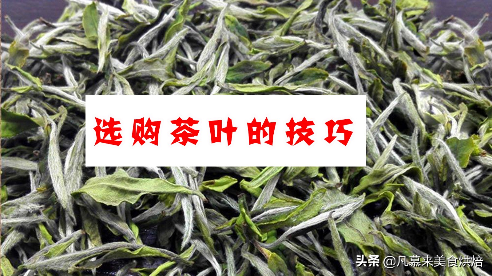 什么品种的茶叶最好喝,中国十大名茶哪种茶叶最好喝