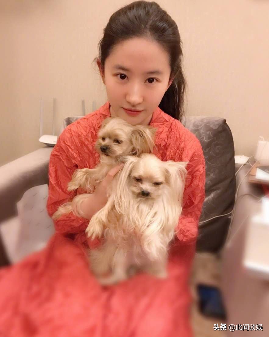 刘亦菲的人生有多好,刘亦菲的人生选择