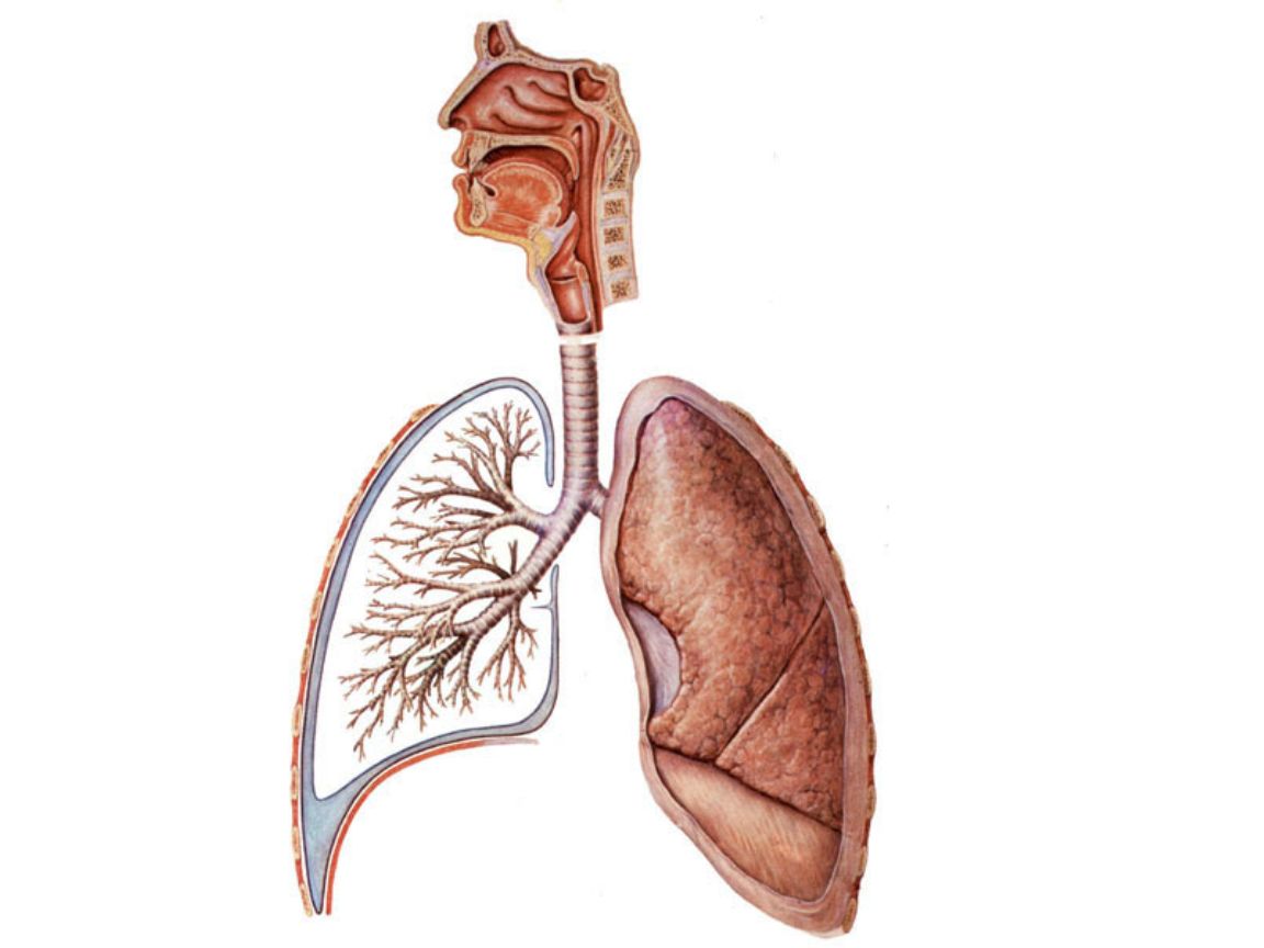 牙周太差怎么矫正,牙周不好怎么矫正牙齿