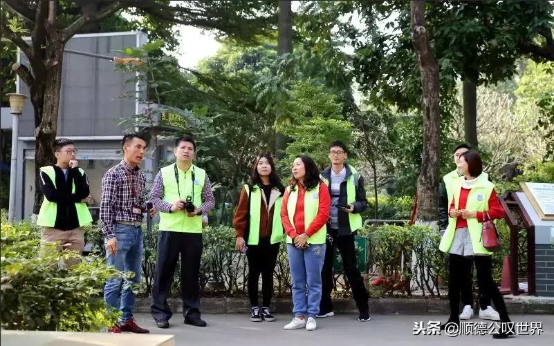 打卡顺德容桂海尾社区，你的家乡美成这样……