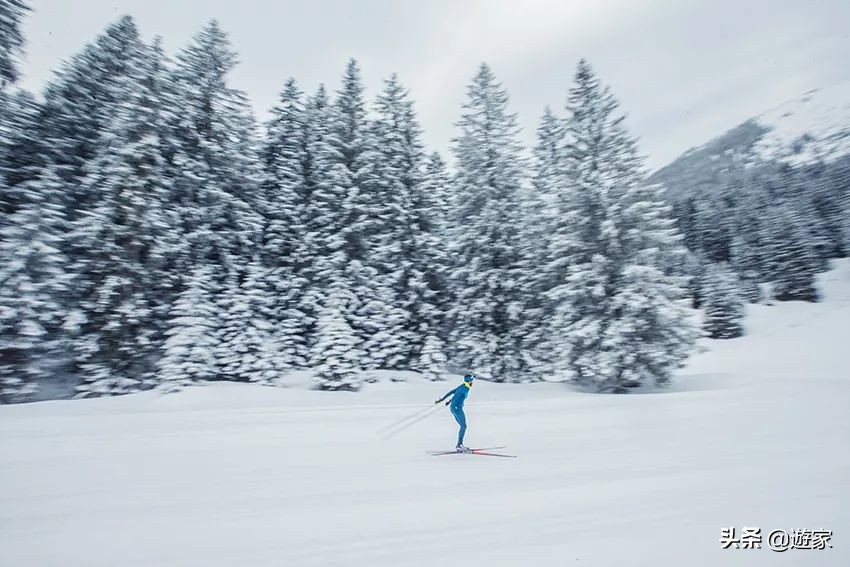 德国阿尔卑斯山最高峰,德国顶峰