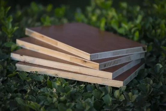 大王椰千年舟板材排名,大王椰板材蓝光防伪