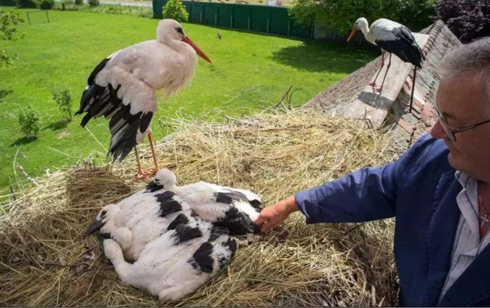 18年感人的爱情故事视频,18年的爱情故事