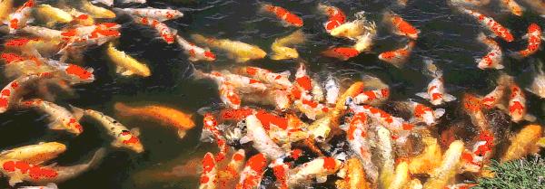 官园拆迁安置房,官园拆迁安置房拿房时间