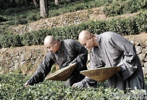 乐嘉的修行生活,乐嘉最大的难题