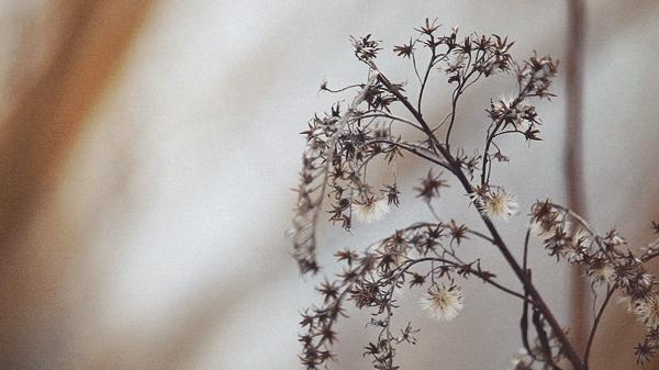 后悔在家当了几年的免费保姆,一个免费保姆的心声催人泪下