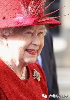 英国女王胸针高档轻奢,女王最贵胸针排行榜