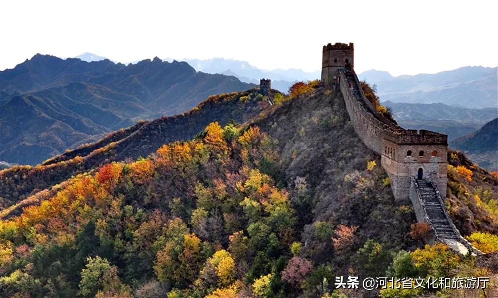 “万里长城，金山独秀”的秘密