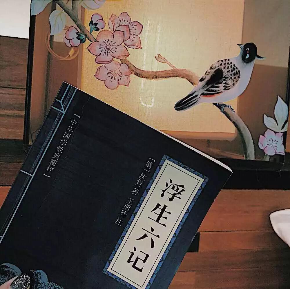 苏州网红ins风民宿大赏,苏州古镇田园风景民宿