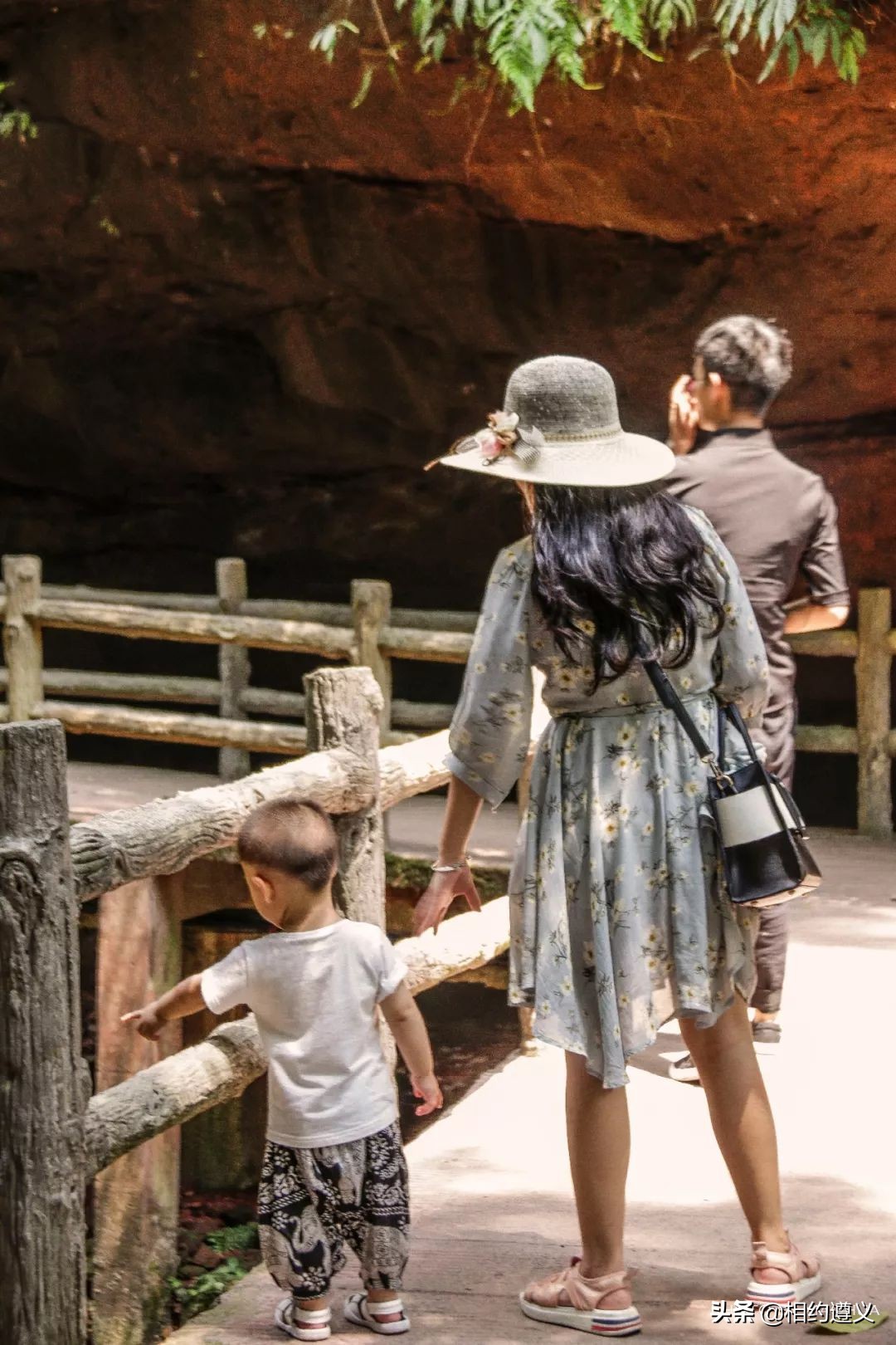 赤水大瀑布 侏罗纪公园 (世界唯一保留的侏罗纪原始公园)