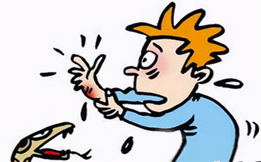 巴西毒蛇岛的蛇有天敌吗,巴西蛇岛每平米1条蛇