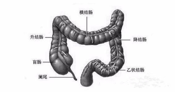 小肚子痛阑尾部位有轻微痛,小阑尾炎的症状