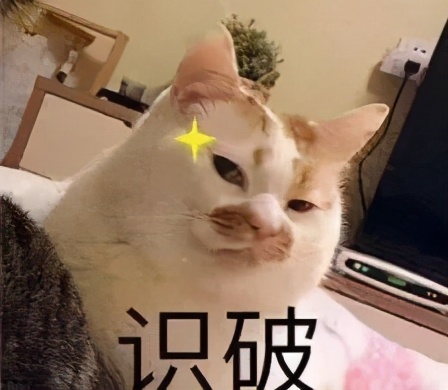 足坛中的陈冠希,足球运动员陈冠希