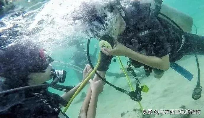 建议在哪里拿潜水证,如何免费学习潜水证