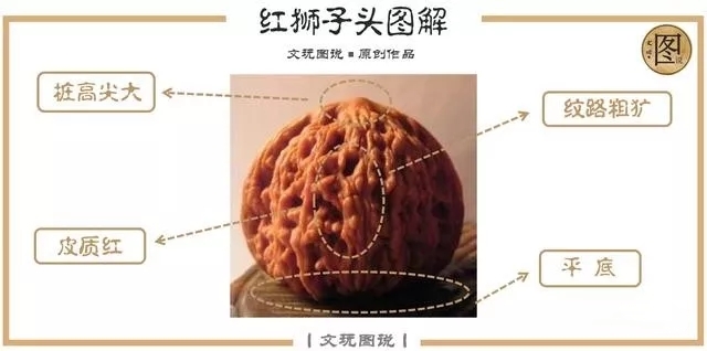 文玩核桃官帽和狮子头区别,文玩核桃官帽与狮子头区别