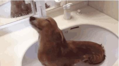 南方人洗澡不搓澡没有泥吗,南方人洗澡不搓澡身上有灰吗