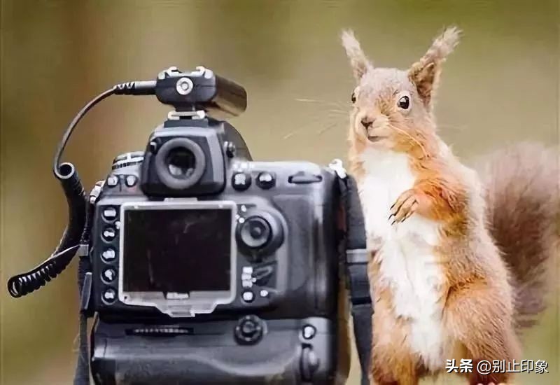我为什么会选择二手车,我为什么总买老款相机