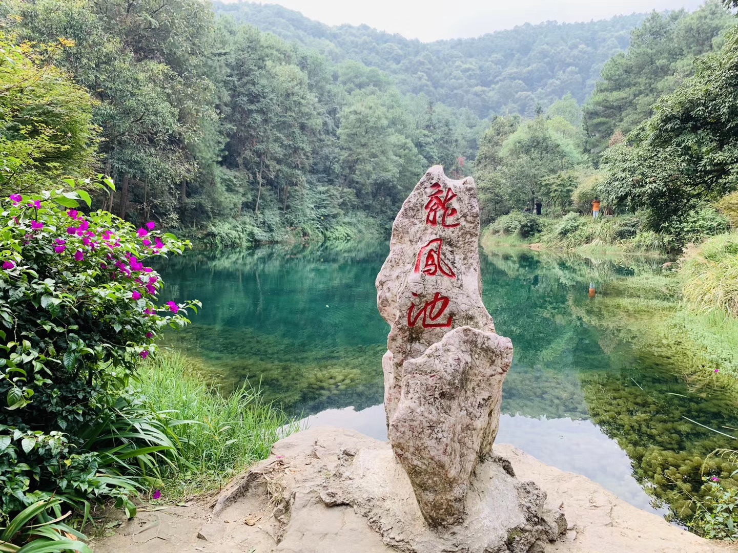 重庆溪池民宿,重庆小九寨九凤瑶池度假民宿