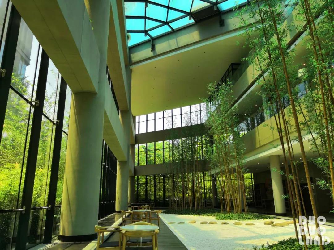 多·样|喵喵：腾讯产品经理的互联网求职全方位经验贴