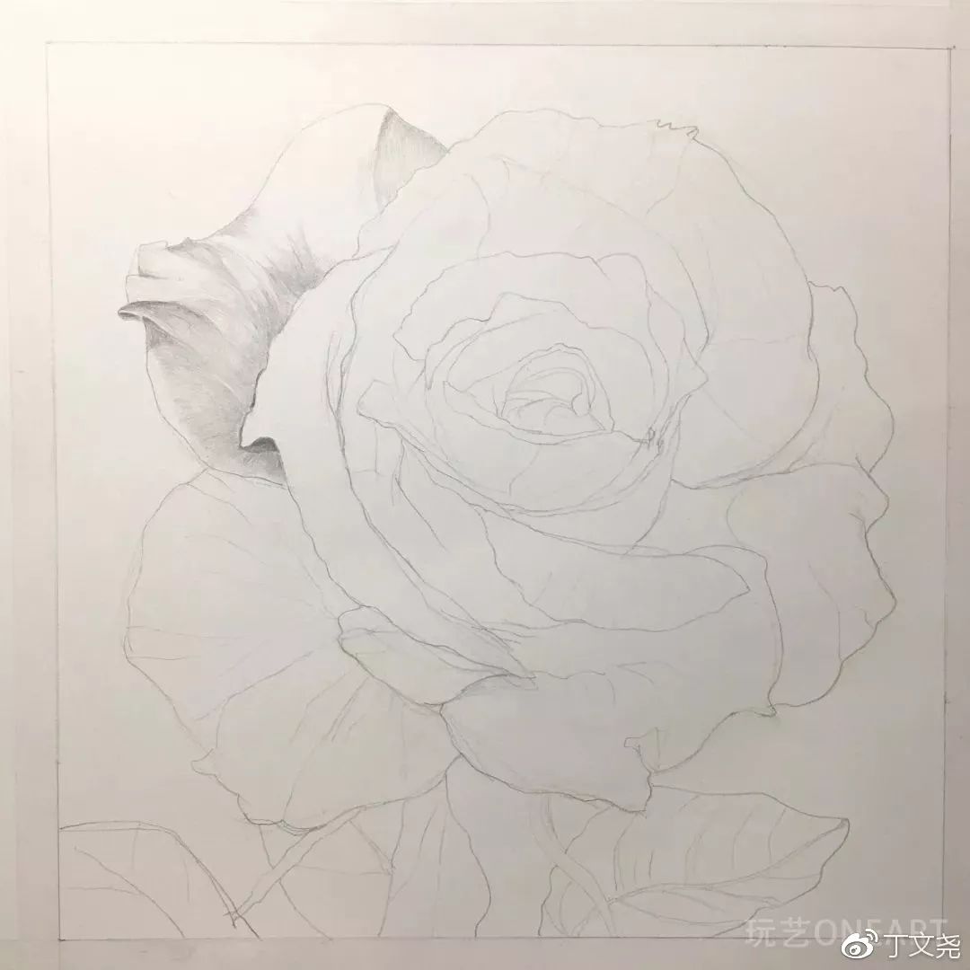 素描基础绘画教程郁金香,素描丁程鑫详细教程