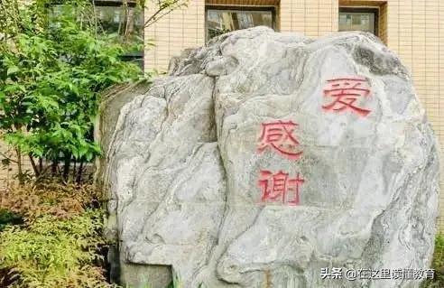 高新家门口的好学校,西安高新五小入学条件