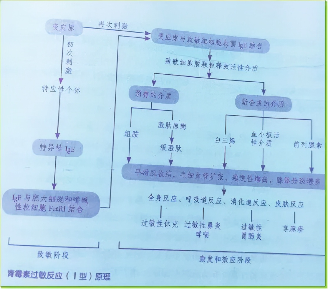关于药物过敏，你都掌握了吗？