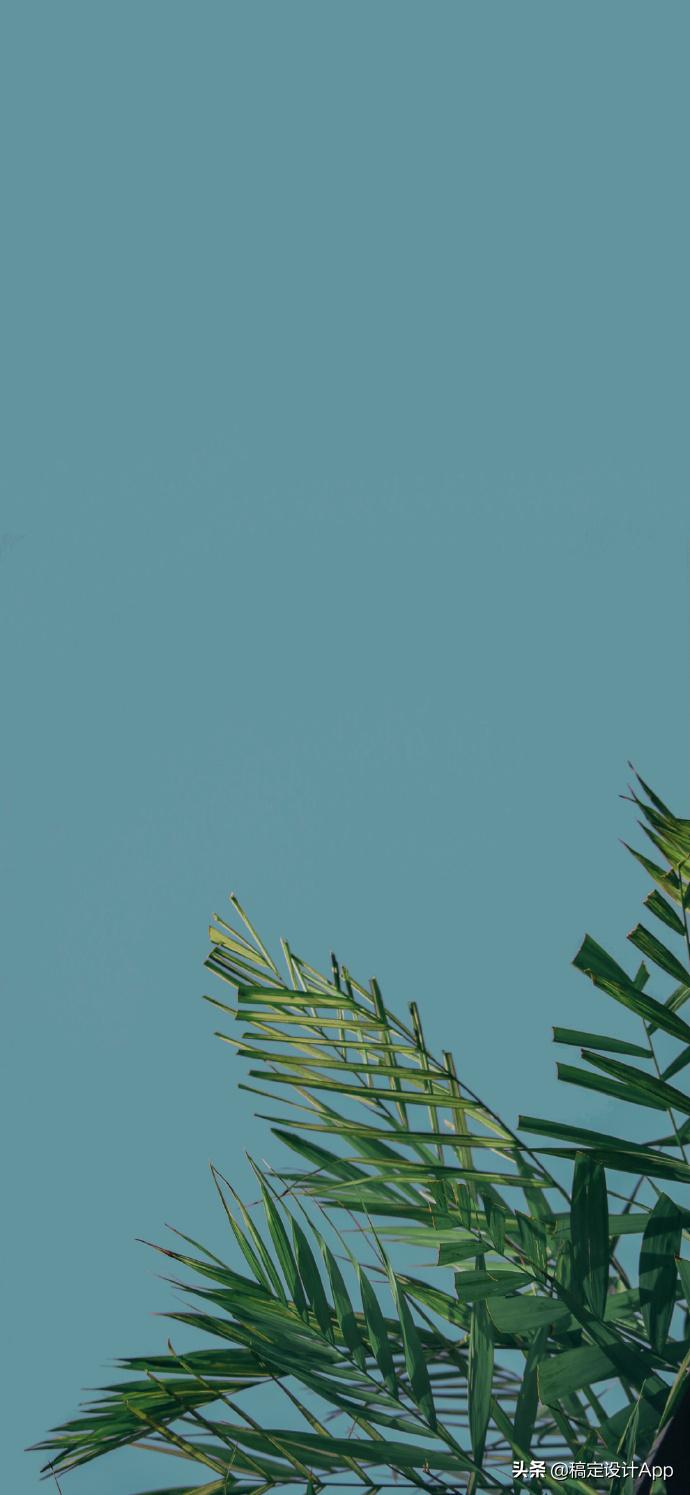 压箱底高清无水印壁纸,压箱底壁纸分享绿色护眼