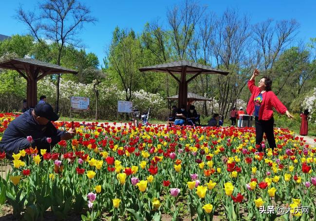 大庆滨水绿道景观,大庆绿道在哪里