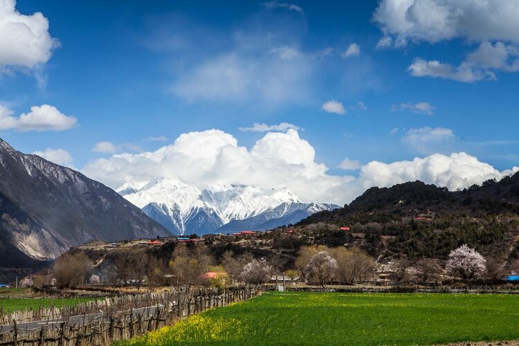 海子面朝大海春暖花开写作时间,海子面朝大海春暖花开原文图片