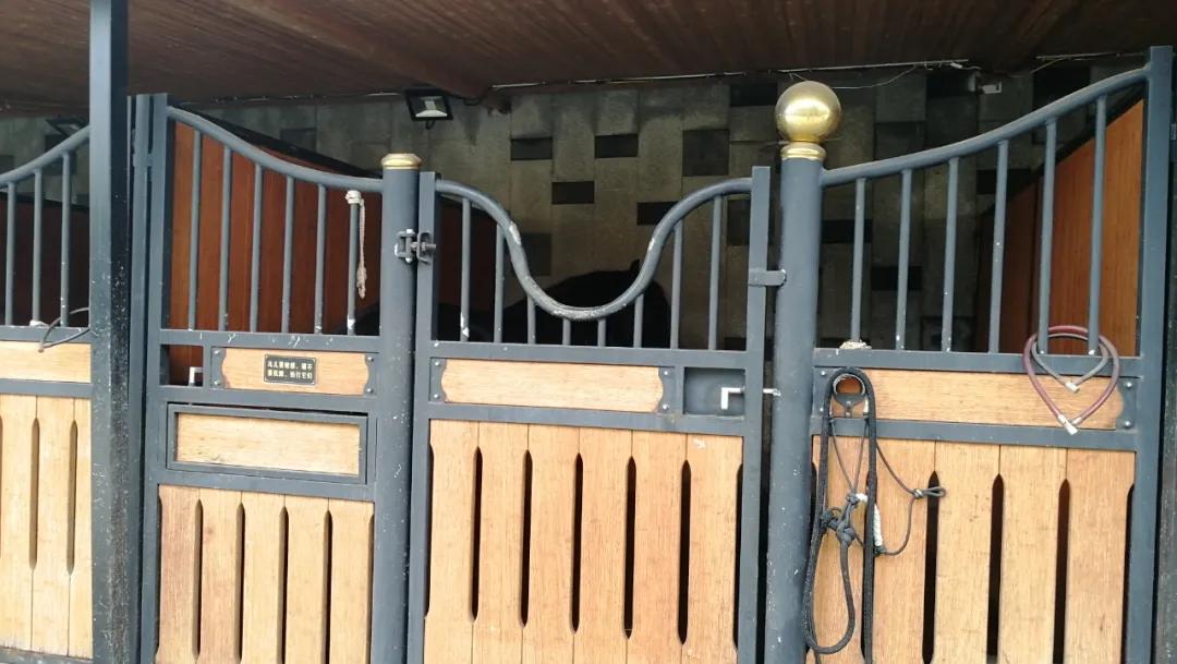 杭州印象城西溪店,杭州西溪印象城店景点