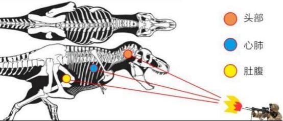 现在的人类对战霸王龙,霸王龙是恐龙时代的霸主