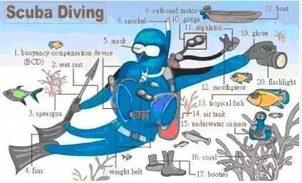 30张场景单词图,教你记住高频生活词(建议收藏)
