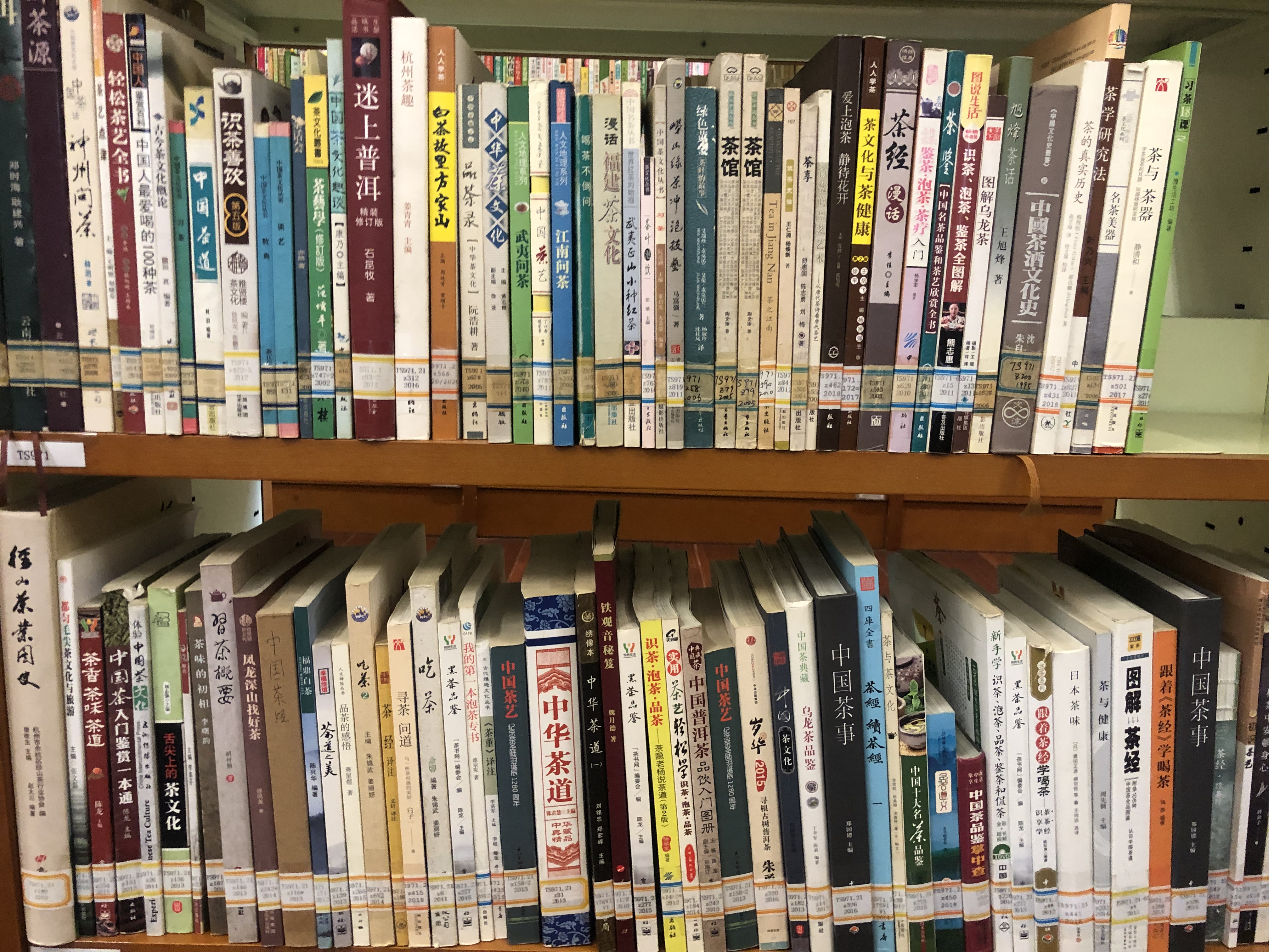 西湖龙井春茶季,龙井茶西湖明前春茶