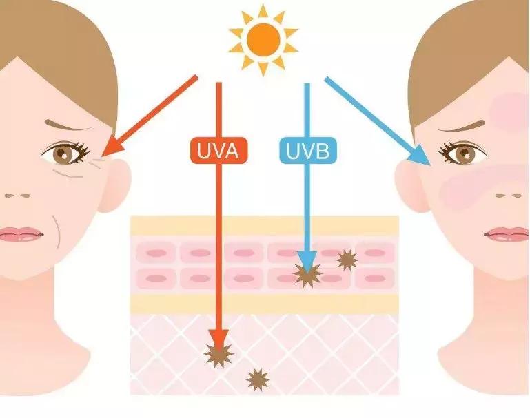 适合秋冬用的防晒推荐,推荐适合秋冬用的防晒