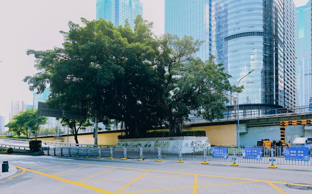 漫游东游西荡,漫游深圳城市