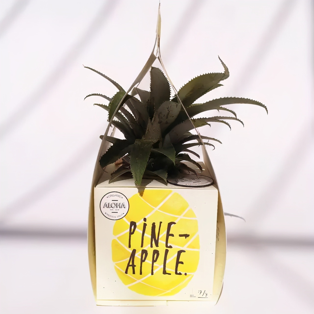 干货农产品包装包括哪些种类,水果礼盒是初级农产品吗