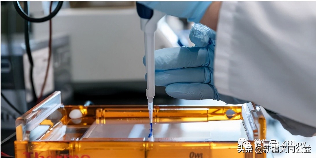 2650万美元发现一个治疗HIV的新方法