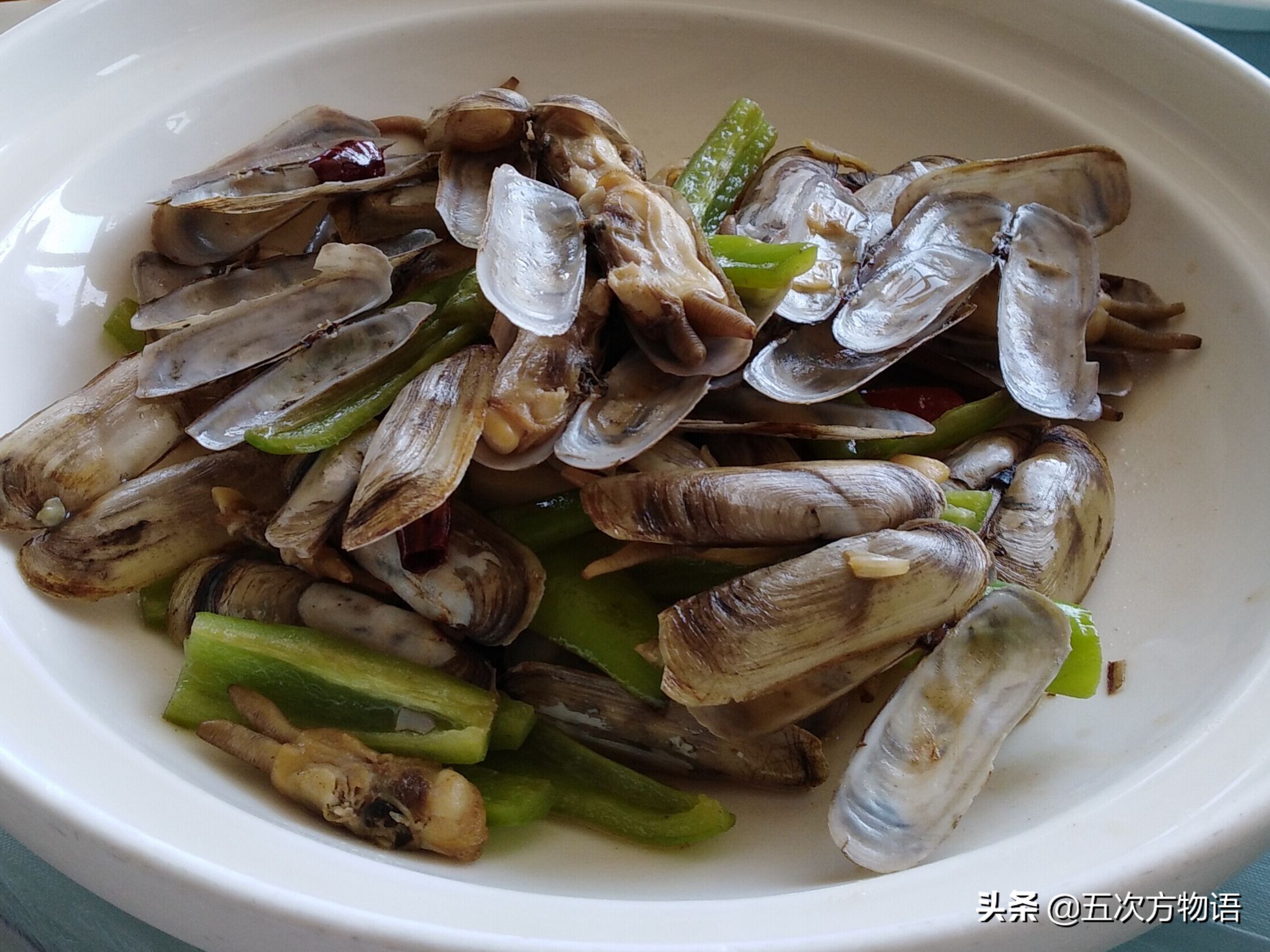 好吃的贝类品种大全,青岛贝类海鲜有哪些品种